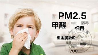 【環(huán)保美縫,打造不傷害寶寶健康的新家】- 